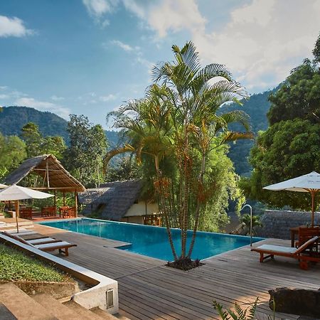 Pumarinri Amazon Lodge Tarapoto Ngoại thất bức ảnh