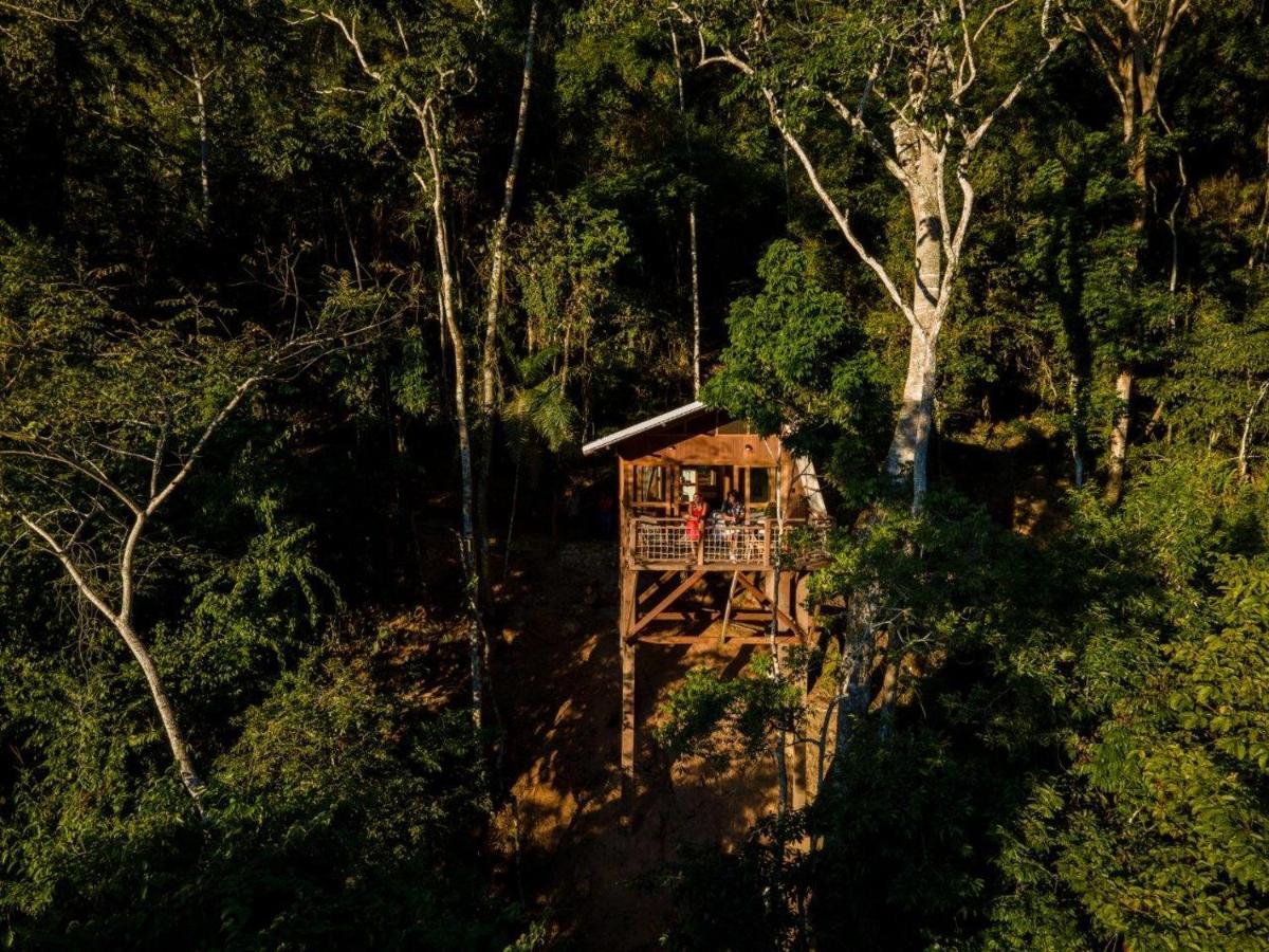 Pumarinri Amazon Lodge Tarapoto Ngoại thất bức ảnh
