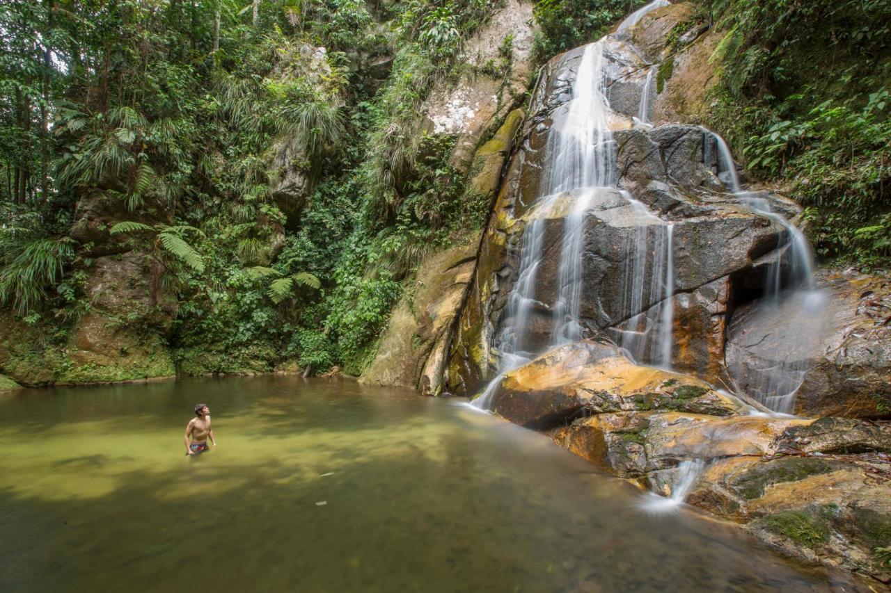 Pumarinri Amazon Lodge Tarapoto Ngoại thất bức ảnh