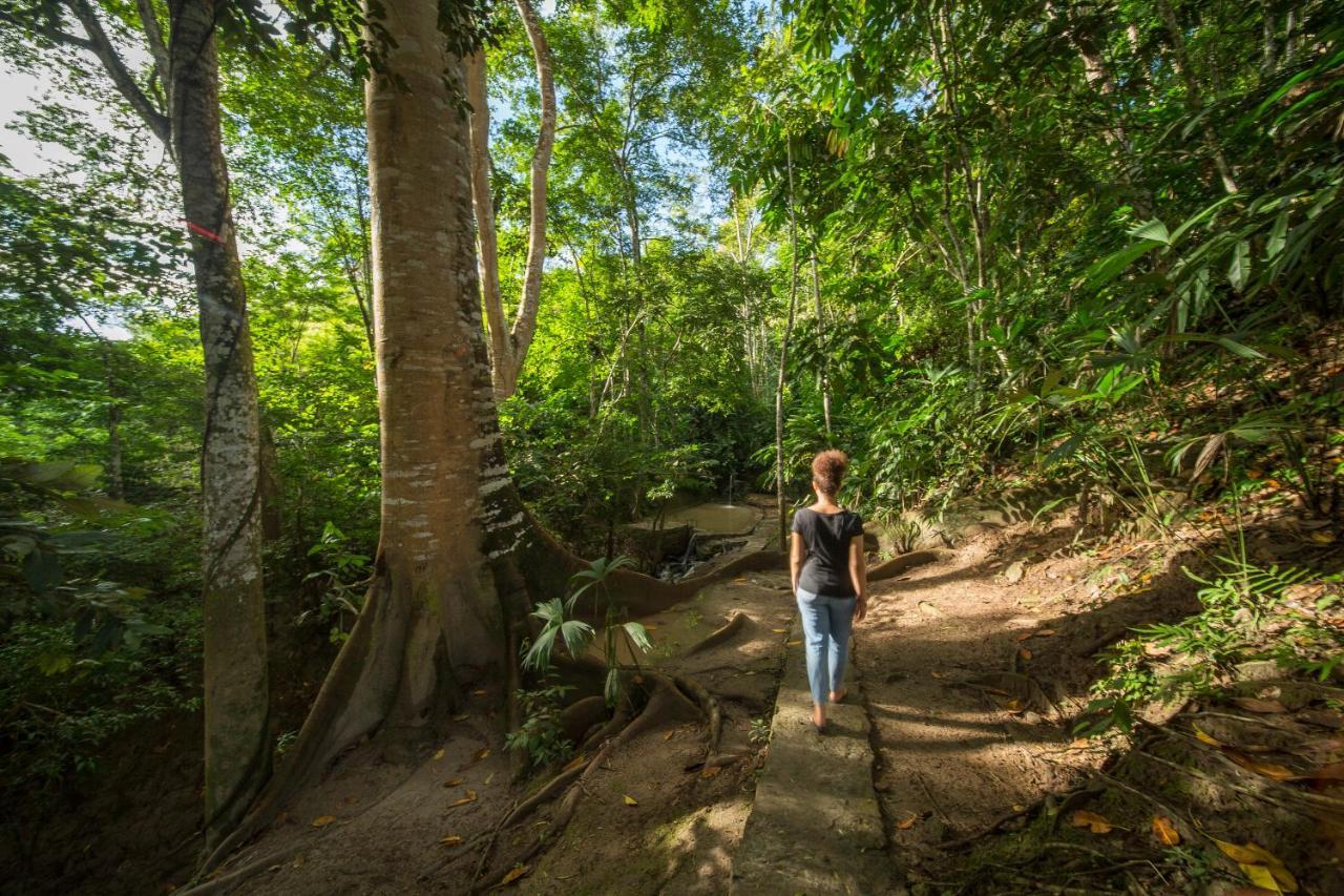 Pumarinri Amazon Lodge Tarapoto Ngoại thất bức ảnh