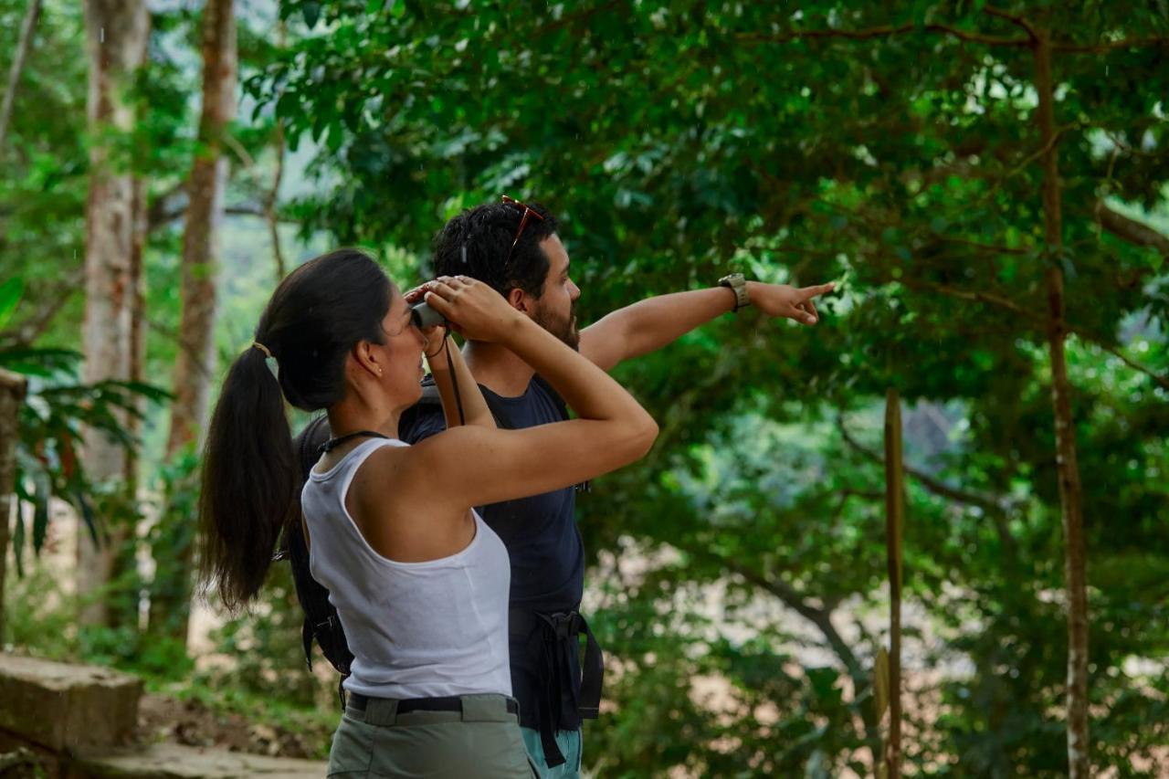 Pumarinri Amazon Lodge Tarapoto Ngoại thất bức ảnh