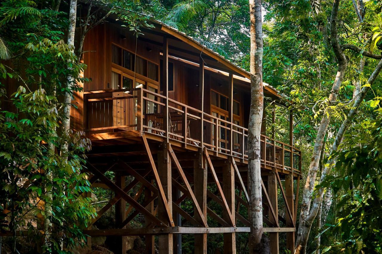 Pumarinri Amazon Lodge Tarapoto Ngoại thất bức ảnh
