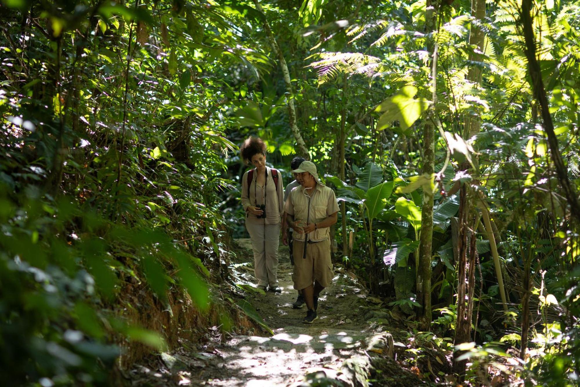Pumarinri Amazon Lodge Tarapoto Ngoại thất bức ảnh